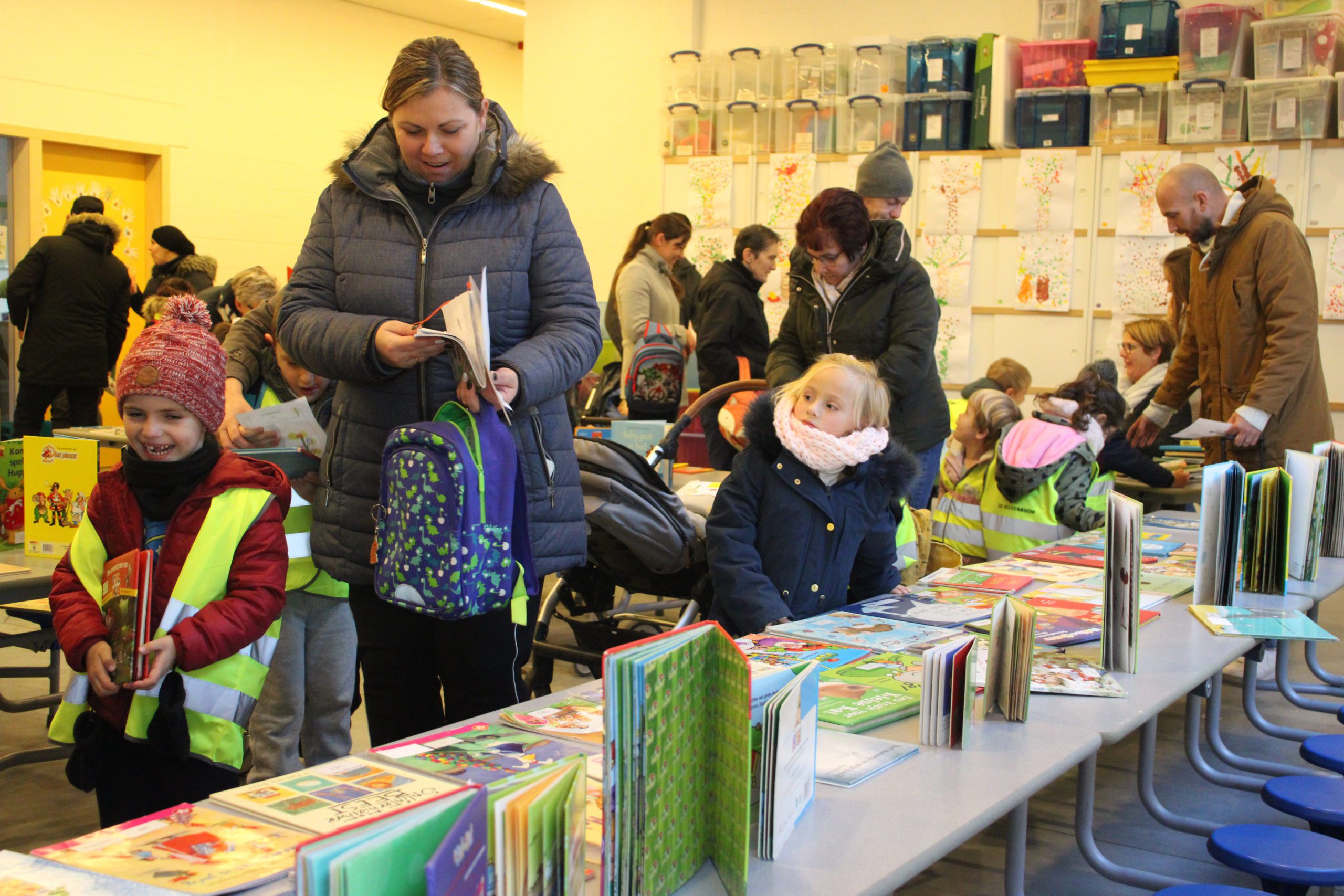 Reuzenboekenboom